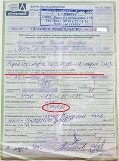 Осаго на территории белоруссии