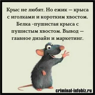 Что значит увидеть мышь. Что значит увидеть мышь
