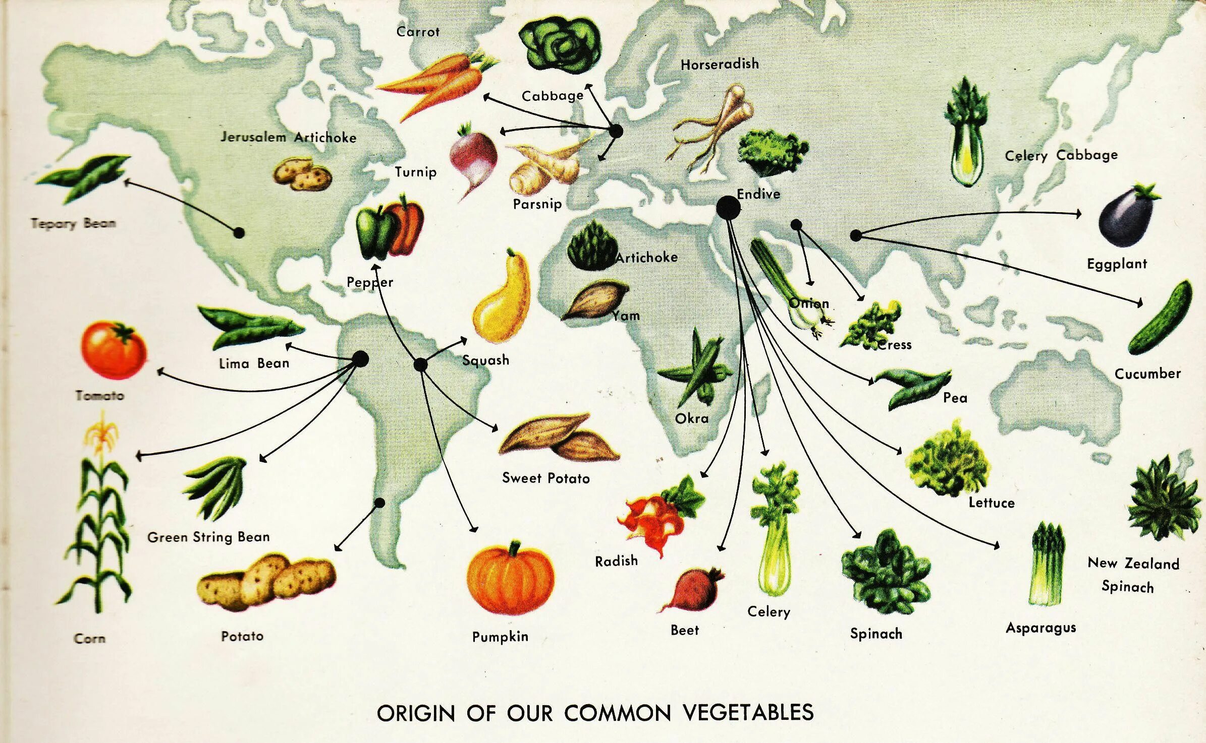 Amazing rp тыквы. Хант тыквы карта. Спавн тыкв на радмире. Вормикс карта тыквы. Тыквенное безумие арт.