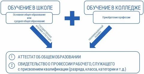 Основное общее среднее профессиональное это