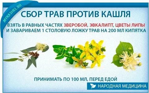 Трава от кашля отзывы