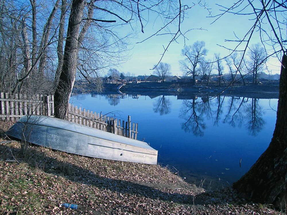 Село клепиково алтайский край. Погода в клепиково алтайский. Река курья алтайский край. Клепиково алтайский край. Погода в клепиково алтайский.
