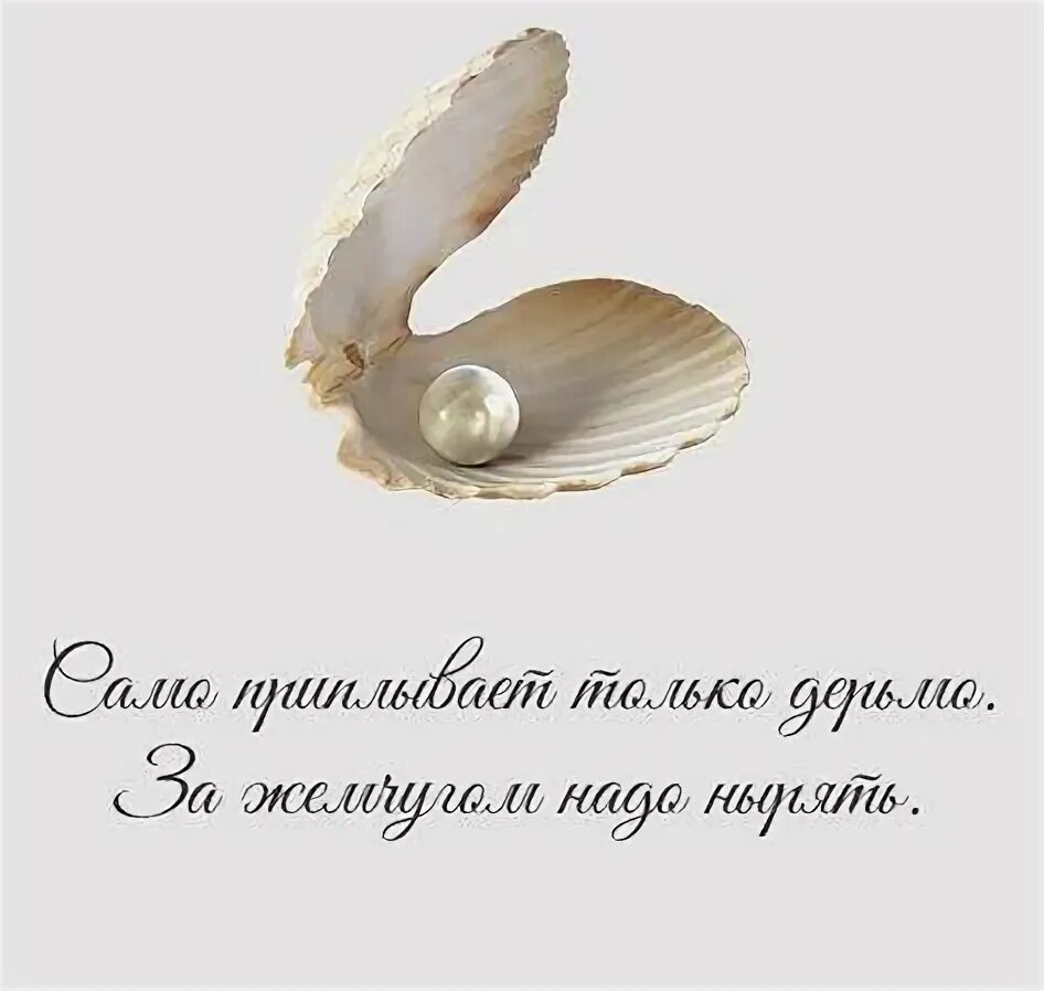 Не бросайте жемчуга вашего. Красивые высказывания о жемчуге. жемчуг - красивые фразы. не бросайте жемчуга вашего перед свиньями. жемчужины высказываний.