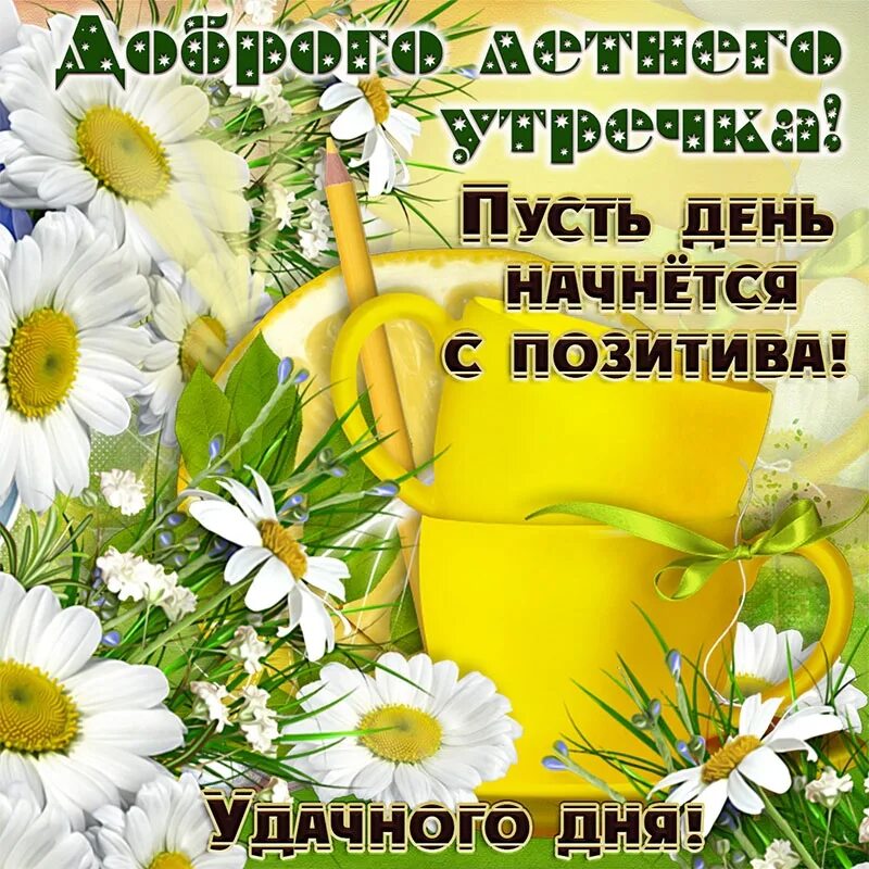 Хорошего дня и отличного утра июля. Пожелания с добрым летним утром. открытки с добрым утром летние. доброе летнее утро пожелания. пожелания доброго летнего дня.