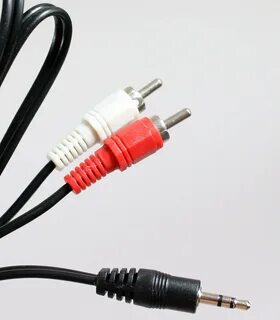 Сколько стоят два тюльпана
