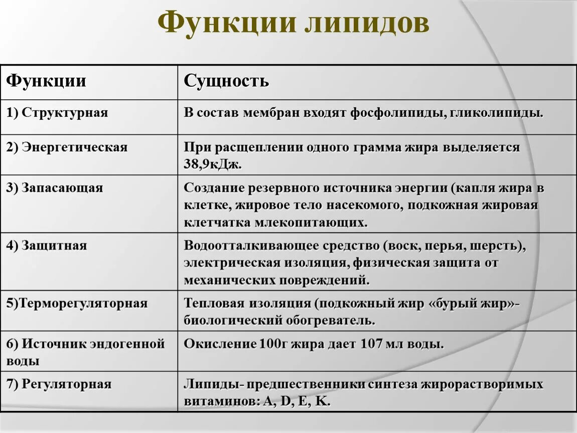 Характеристика защитной функции липидов. Функции липидов структурная энергетическая. Регуляторная функция липидов. Функции липидов биология 9 класс.