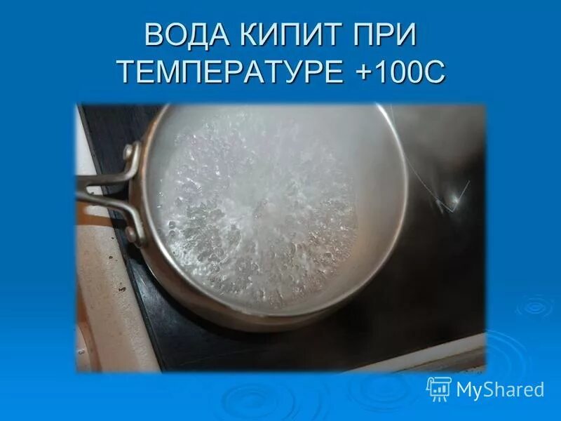 Выкипают при температуре 0 с