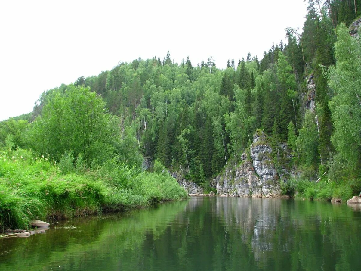 Урал река Койва. Река Койва Пермский край. Усьва Койва. Река Койва Пермский край фото.