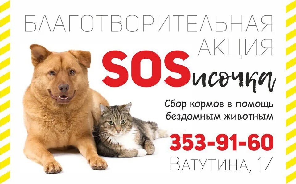 Домашнее животное: плюсы и минусы с точки зрения психологии. Дискуссия в клубе "