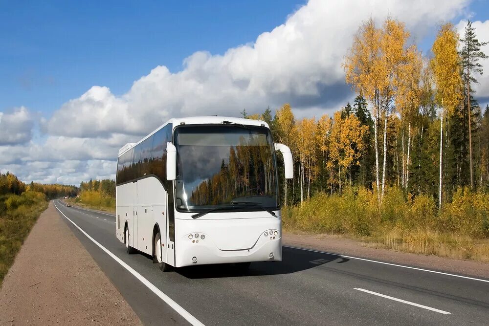 Автобусные туры на ноябрь 2025