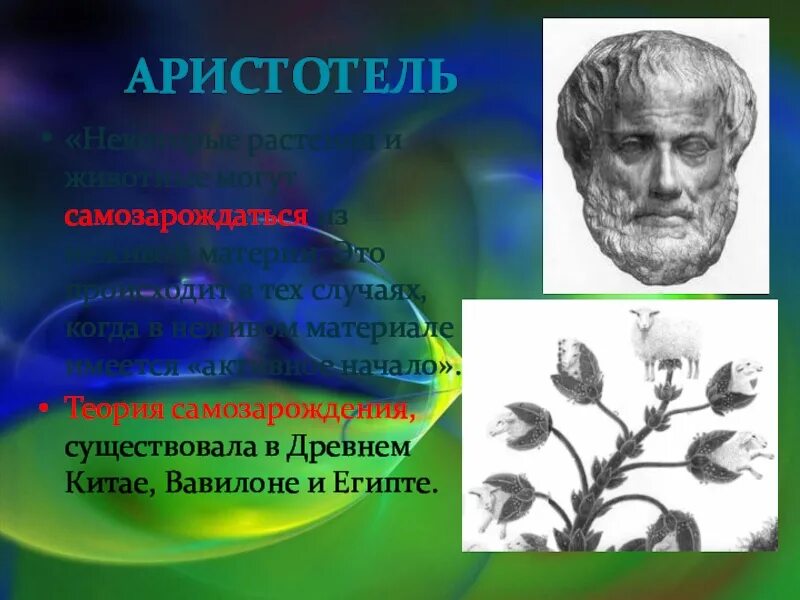 Самопроизвольное Зарождение жизни картинки. Аристотель о природе. Гипотеза самозарождения жизни. Аристотель представление о природе.