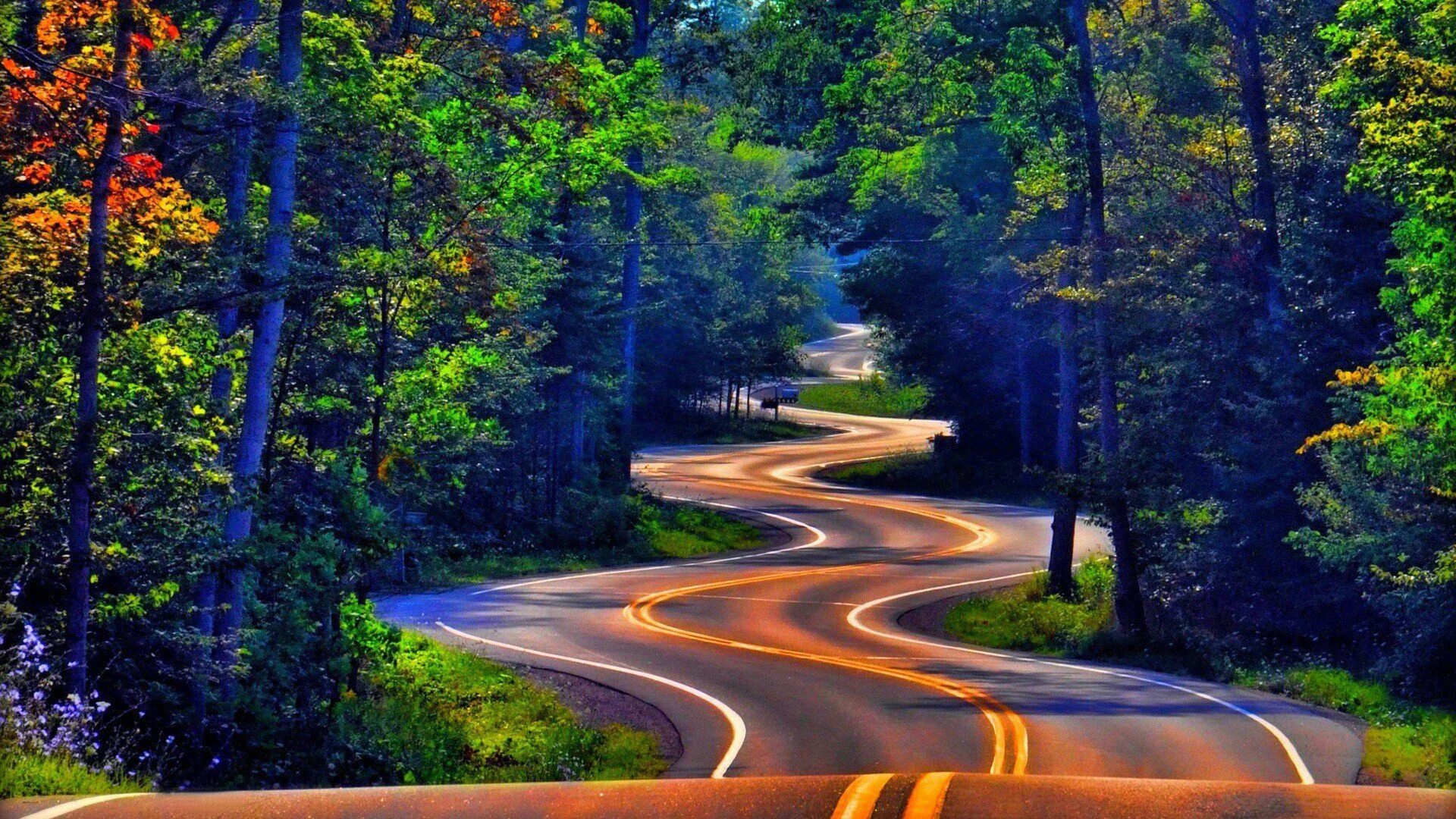 Извилистая дорога. Красивая дорога. Пейзаж с дорогой. Природа дорога.