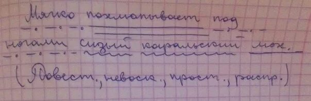 Мягко похлюпывает под ногами сизый Карельский мох синтаксический. Синтаксический разбор предложения. Мох синтаксический разбор предложения. Синтаксический разбор предложения под ногой.