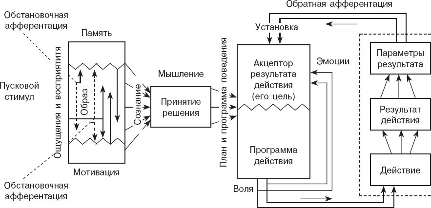 Динамическая функциональная составляющая