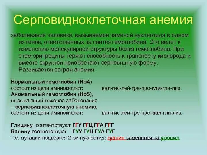 В результате изменения генотипа. Серповидноклеточная анемия какая мутация. Серповидноклеточная анемия генотип. Серповидно-клеточная анемия человека генная мутация. Причиной серповидноклеточной анемии является.