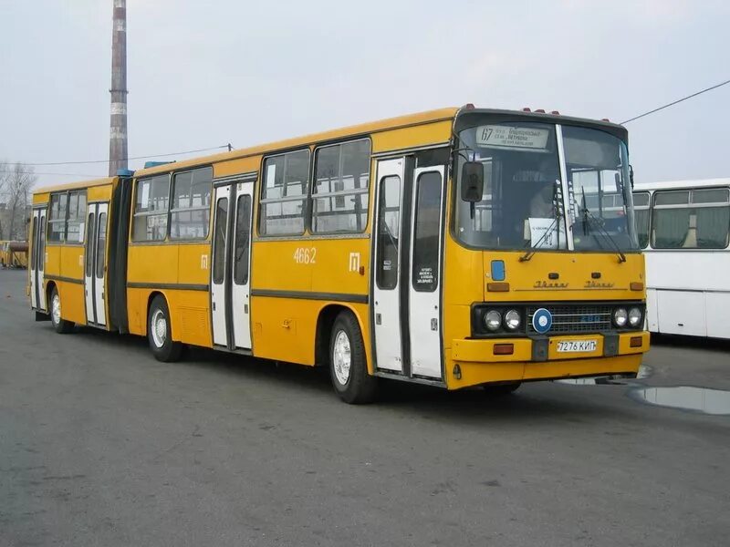 Автобус икарус 280. Икарус 280. Икарус 280 желтый. Икарус 280.64. Икарус 280.00.
