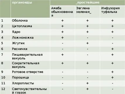 Сравнительная характеристика простейших 7 класс