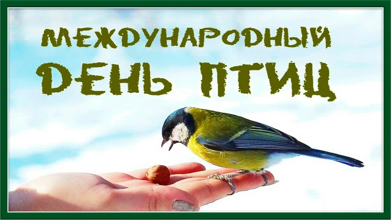 1 апреля международный день птиц в детском. День птиц. 1 Апреля Международный день птиц. Апрель день птиц. Акция 1 апреля Международный день птиц.