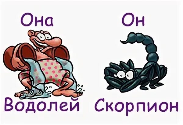 Женщина скорпион женщина водолей