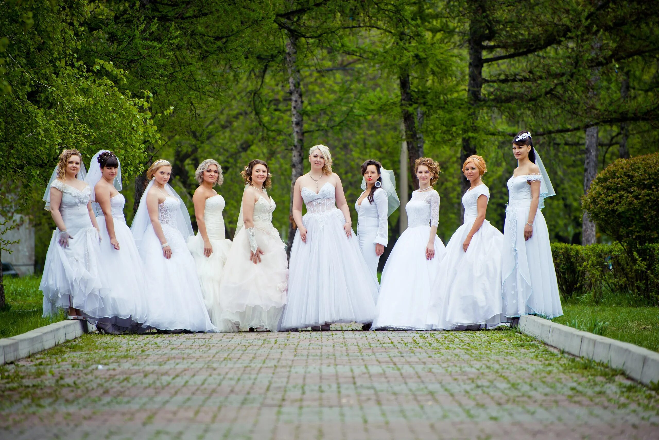 Город невест это. Много невест в свадебных платьях. Куча невест. Много невеста картинка. Чита много невест в свадебных платьях.