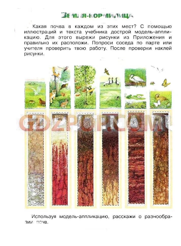 Окружающий мир рабочая тетрадь почва. Рабочая тетрадь по плешаков окружающему миру 3 класс 1 часть стр 38. Окружающий мир 3 класс рабочая тетрадь 1 часть стр 38. Схема почвы 3 класс окружающий мир рабочая тетрадь. Окружающий мир рабочая тетрадь почва.