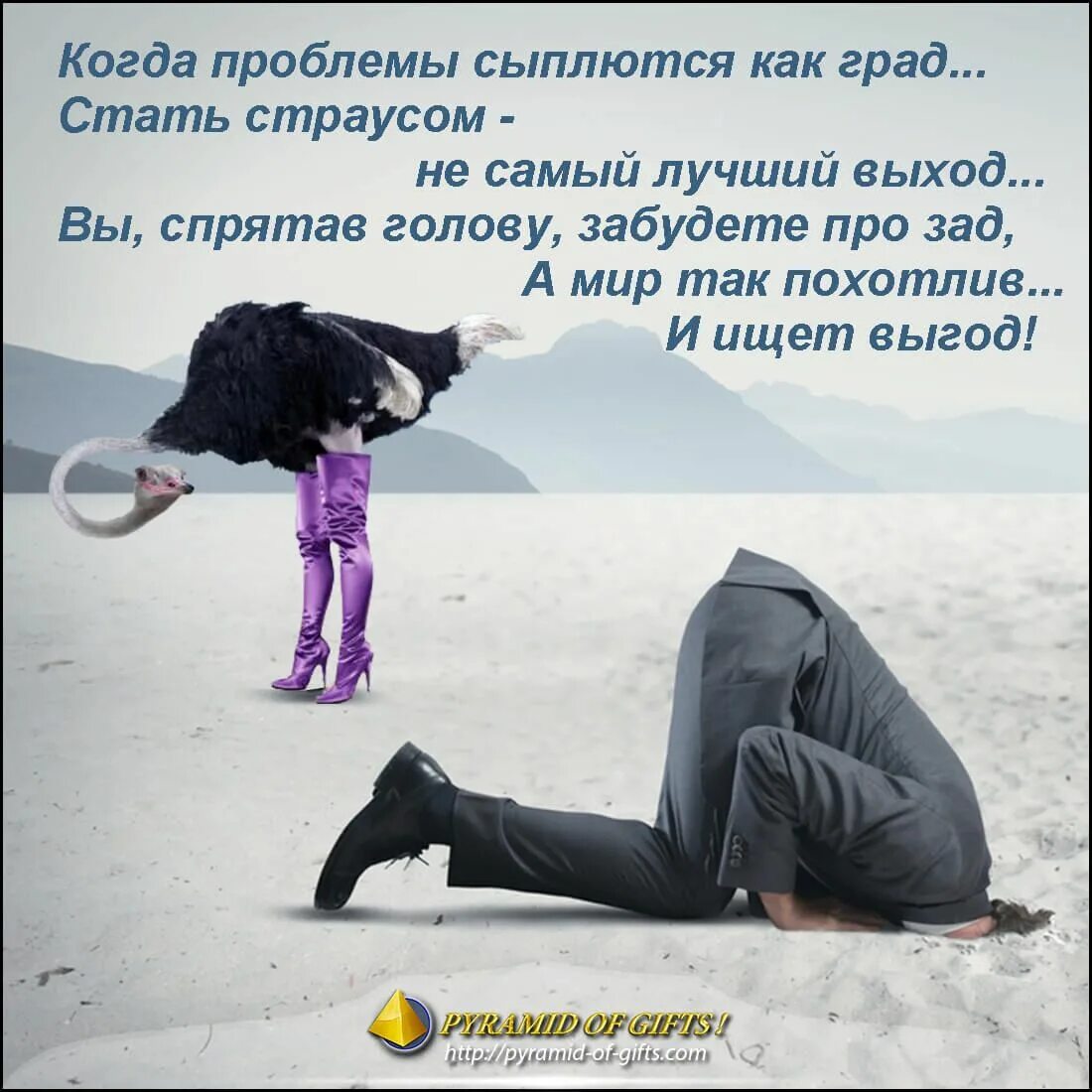 Про смысл жизни с юмором