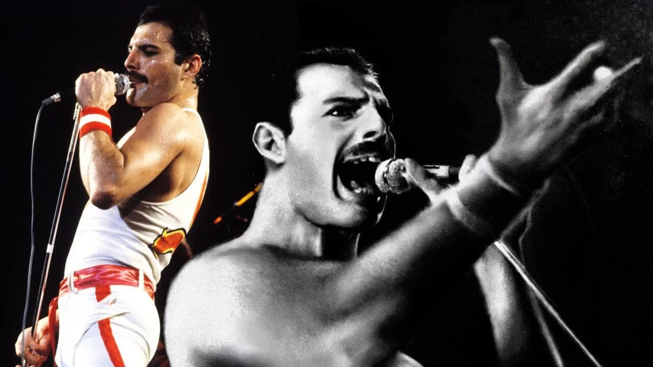 Wtf freddie. Freddie mercury. фредди меркьюри 1991. freddie mercury singing. freddie mercury 1982.