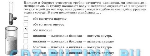 Определите характер движения шарика в жидкости налейте