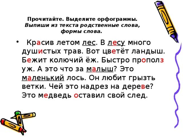 Как выделить орфограмму в слове. Как подчеркнуть орфограммы в словах 2 класс. Как найти орфограммы 2 класс. Что такое орфограмма 2 класс русский язык правило. Как пишется подчеркнутое слово