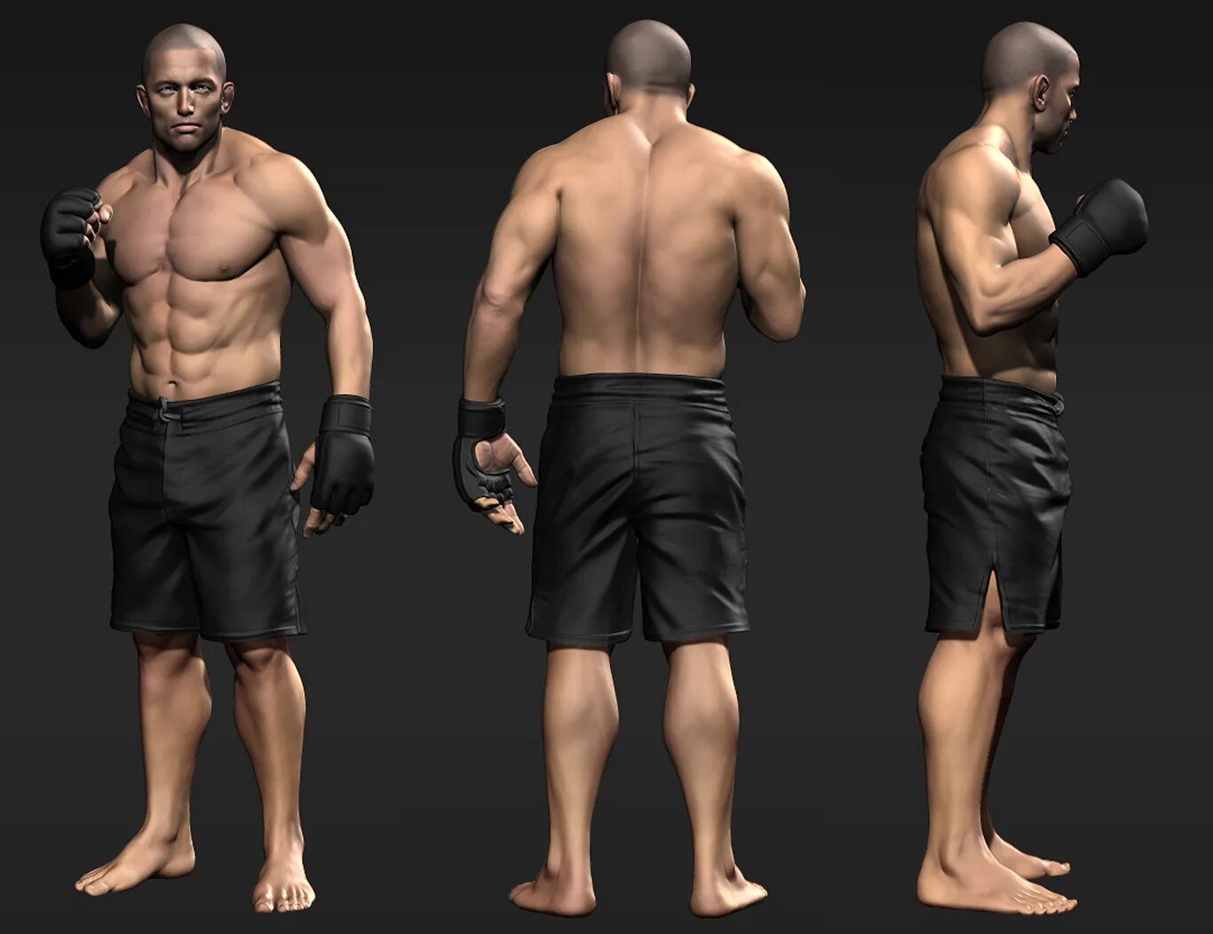 Fighter 3d