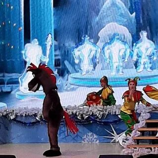 Губернаторская елка ставрополь