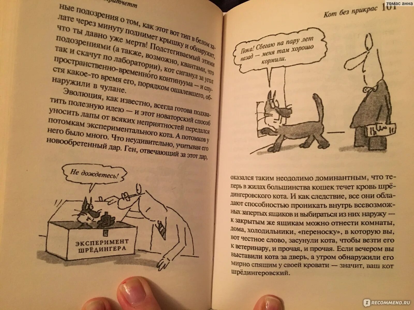 Читать любовь без прикрас. Терри Пратчетт кот без прикрас. Терри Пратчетт кот без прикрас обложка. Кот без дураков Терри Пратчетт книга. Книги Терри Пратчетта про кота.