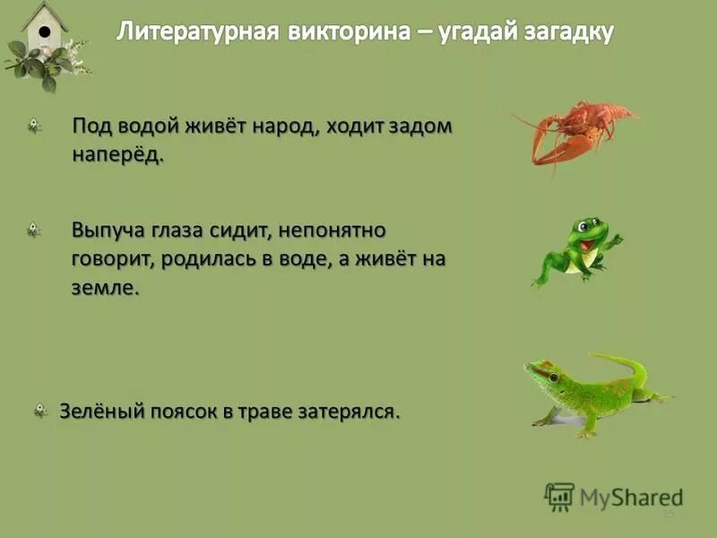 членистоногие ходит задом наперед