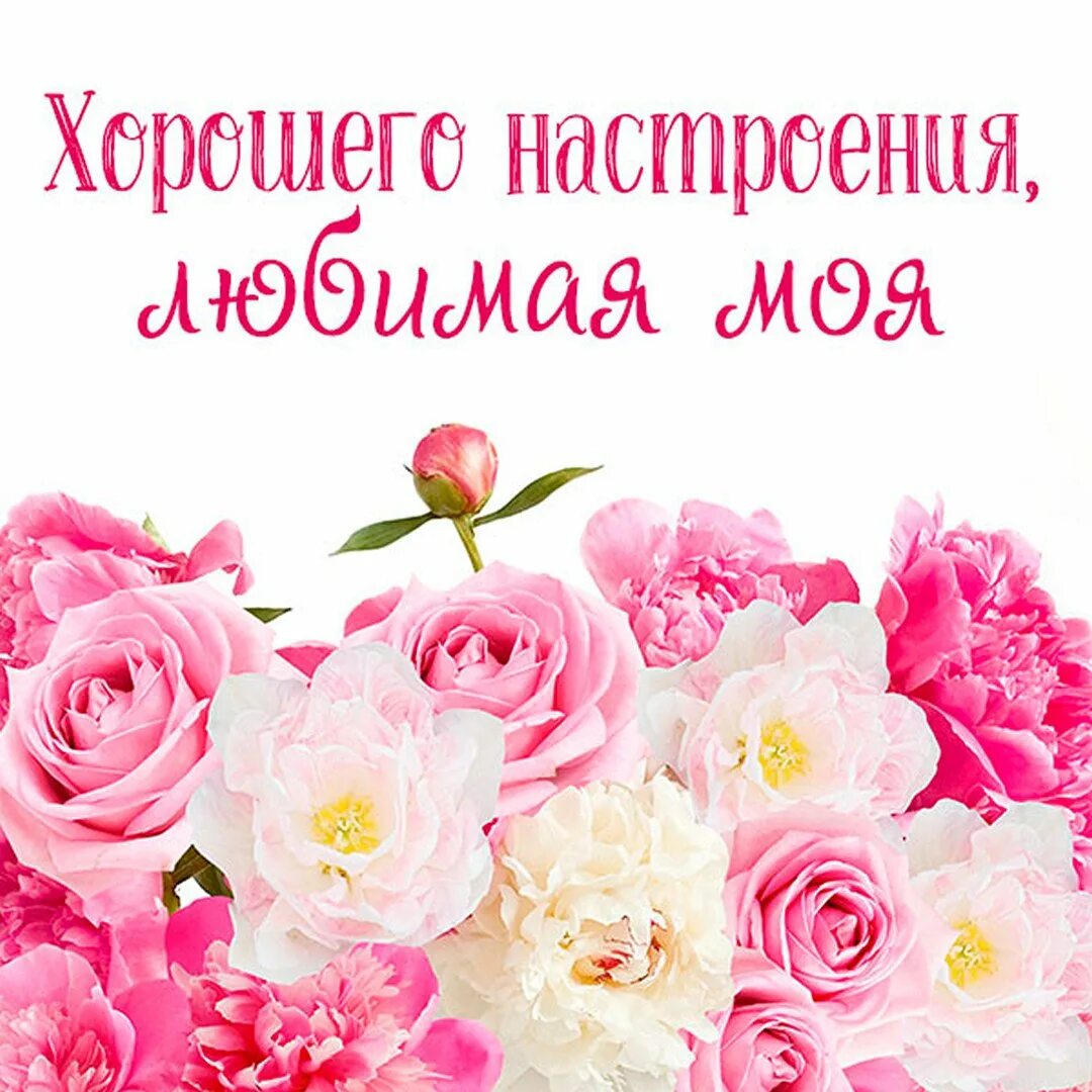 Доброе утро прекрасного субботнего дня. Розовые цветы. Цветочный фон. Баннер цветы. Нежно розовые цветы.