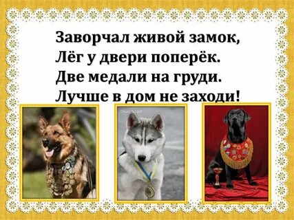 Собаки 1 класс