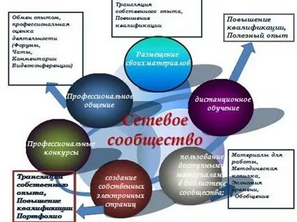 Разработка воспитательного проекта в рамках сетевого взаимодействия