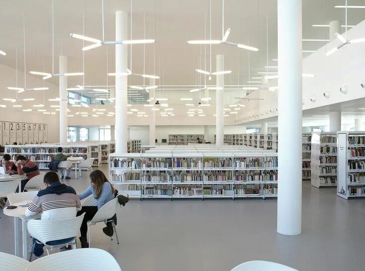 C best libraries