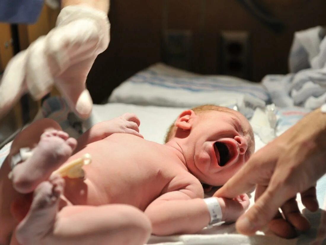 Когда начинают видеть новорожденные после рождения. Новорожденный после родов.