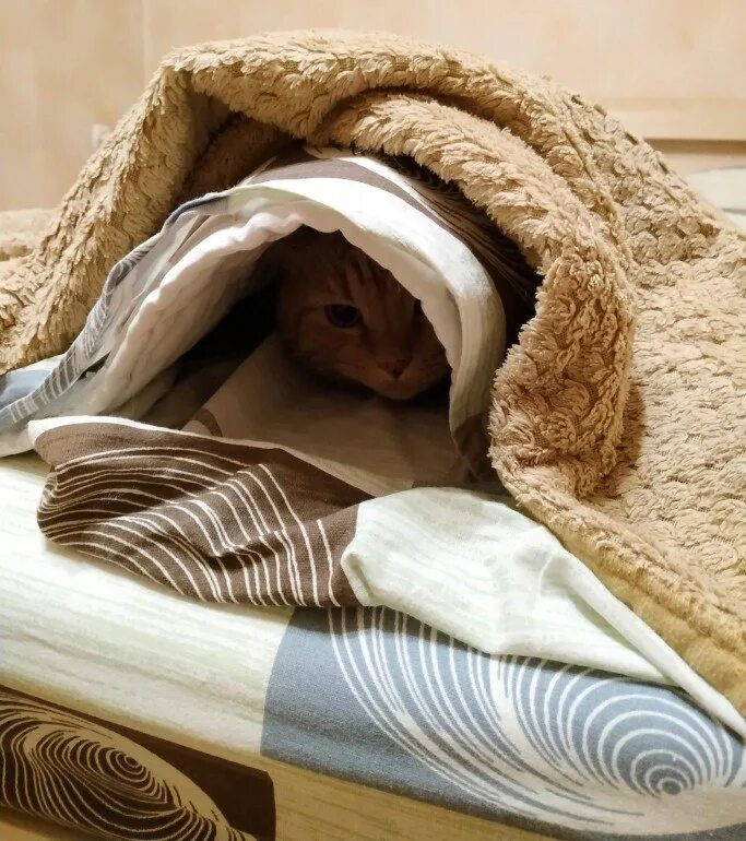 Под одеяльце. Одеяло. Закутанный в одеяло. Теплое одеяло. Укрывает одеялом.
