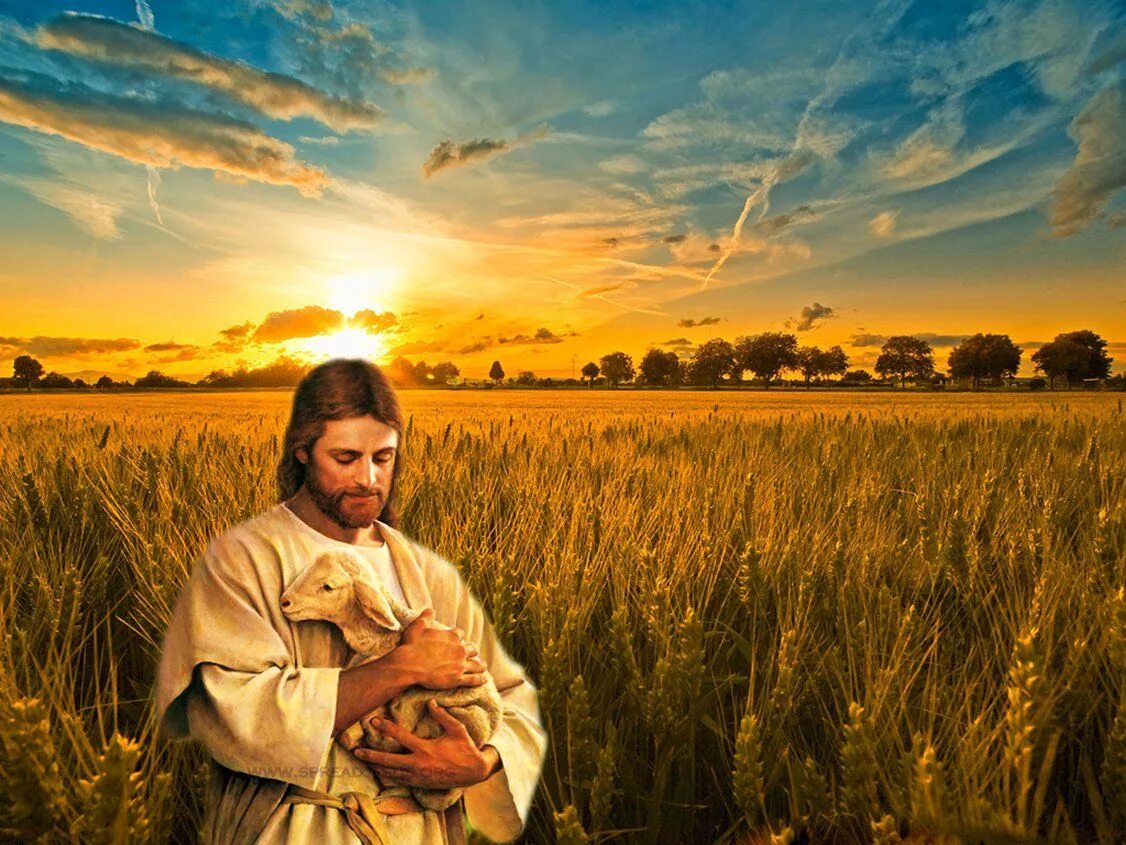Господь сохранит песня. Иисус в поле. Христос жатва. Иисус жатва. Господь Пастырь.