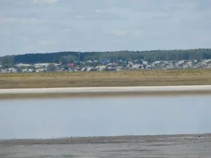 Сайт курганское область медвежьи озера