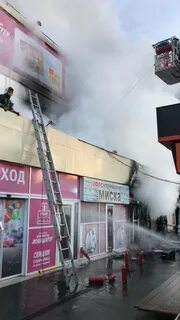 Магнум тараз