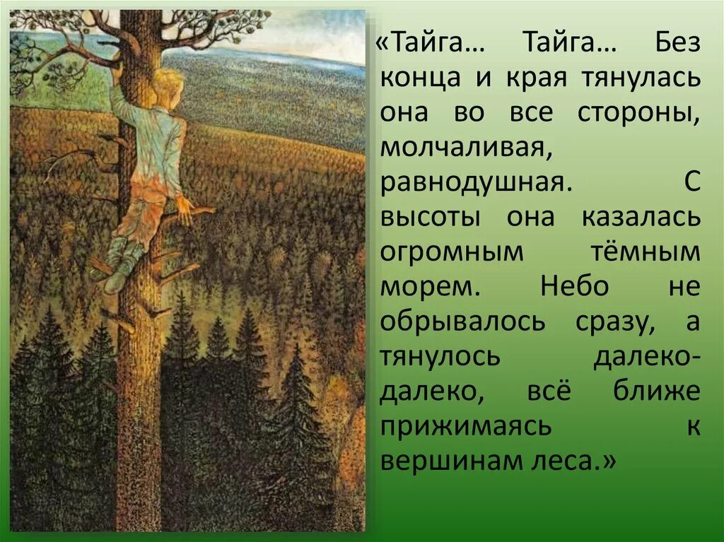 Васюткино озеро как спасся васютка. Васюткино озеро Тайга Тайга без конца и края. Васюткино озеро Астафьев Тайга. Описание тайги в рассказе Васюткино озеро 5 класс. Тайга Тайга без конца и края.