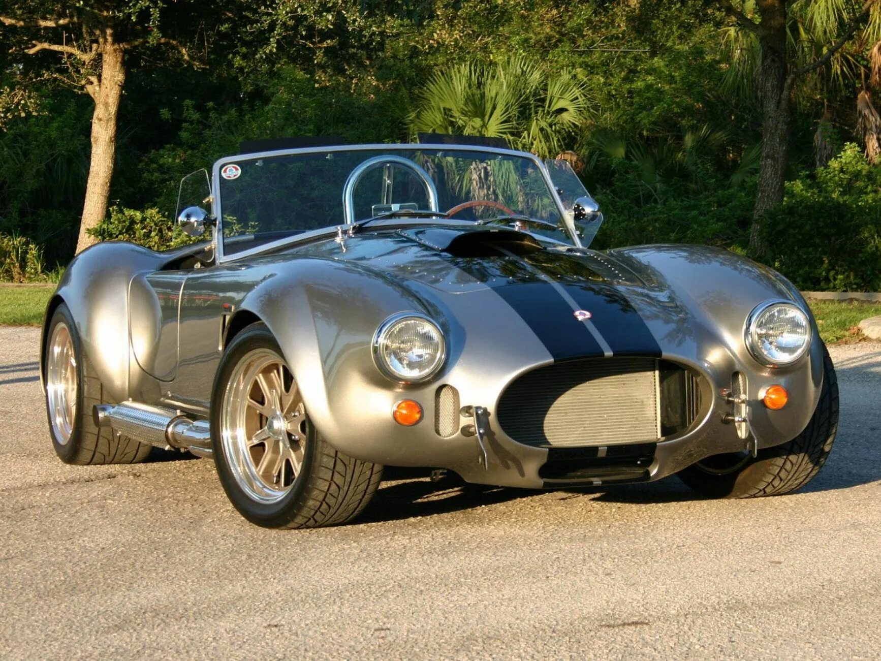 Shelby ac cobra. Shelby Cobra 427. AC Cobra 1965. Машина Shelby Cobra 427. Шелби Кобра 1965.