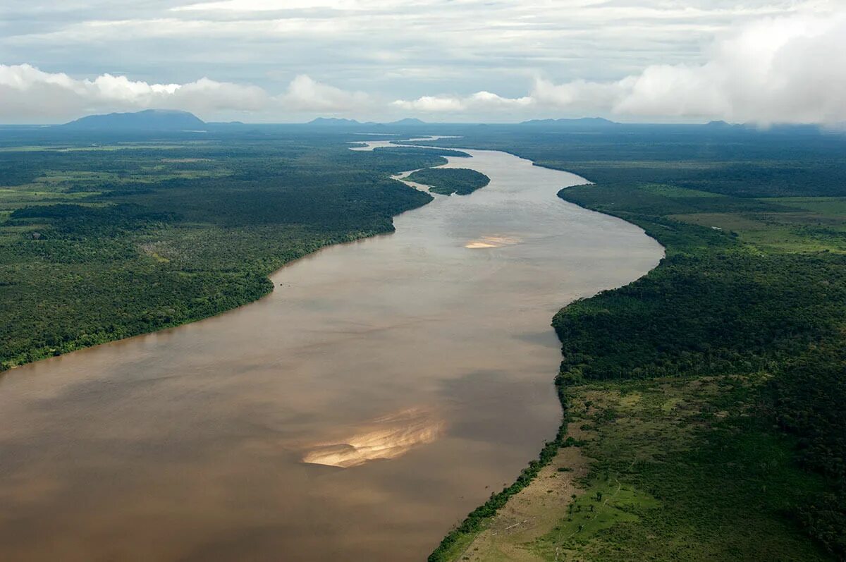 В какое море впадает амазонка. Жапура (река). река оваканго. амазон ривер. амазонка енисей нил.