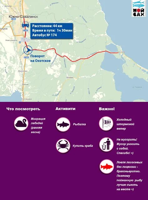 Расписание автобусов Южно-Сахалинск Охотское. Расписание автобуса 174 Южно-Сахалинск Охотское. Автобус 174 Южно Сахалинск Охотское. Южно-Сахалинск Охотское расписание. Отследить автобус южно