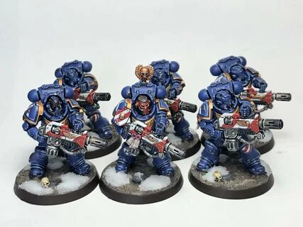 Space marine 2 ultramarine champion pack