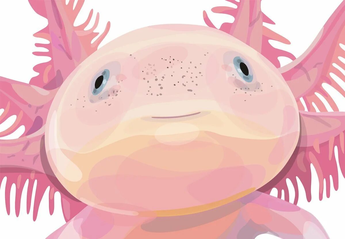 аксолотль палонтрас. тритон аквариумный аксолотль. Gfp аксолотль. аксолотль арт. аксолотль милый.