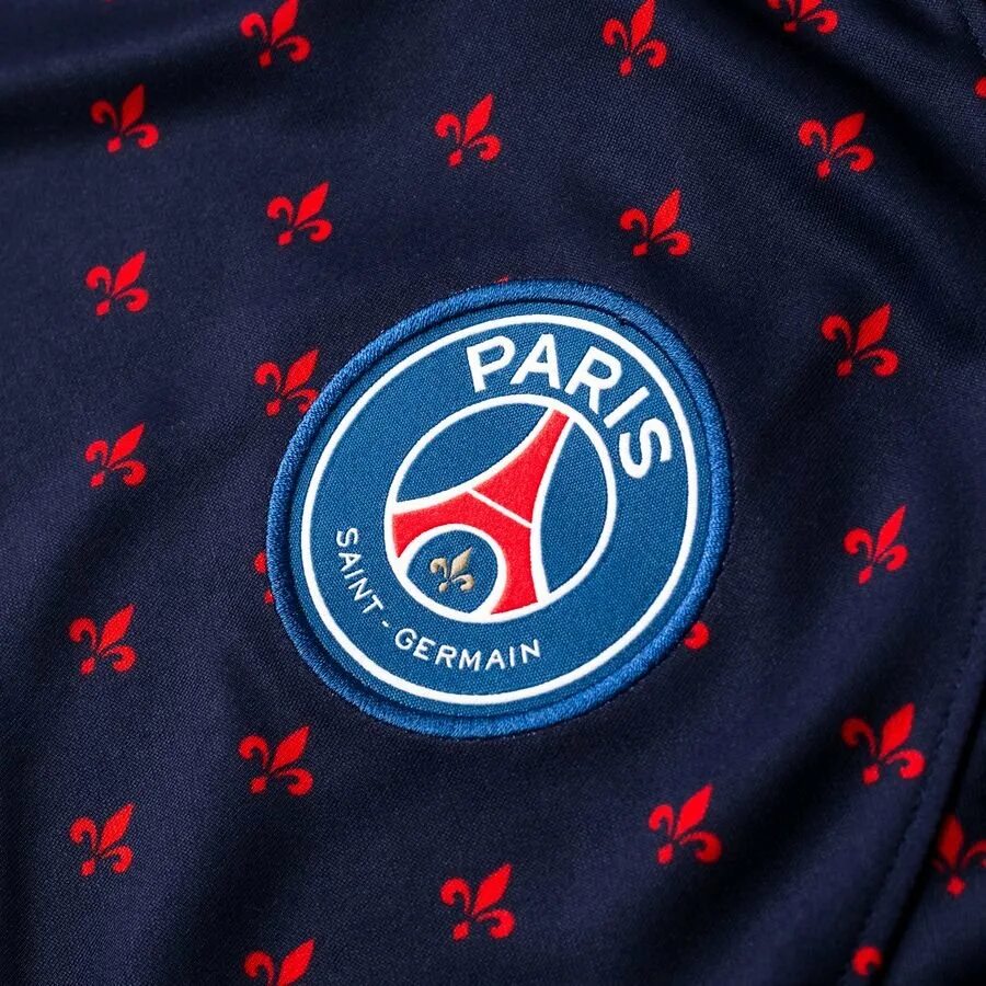 Найк псж. Футболка ПСЖ Paris Saint-Germain. Футболка ПСЖ Луис витон. PSG кофта тренировочная. Футболка ПСЖ тренировочная.