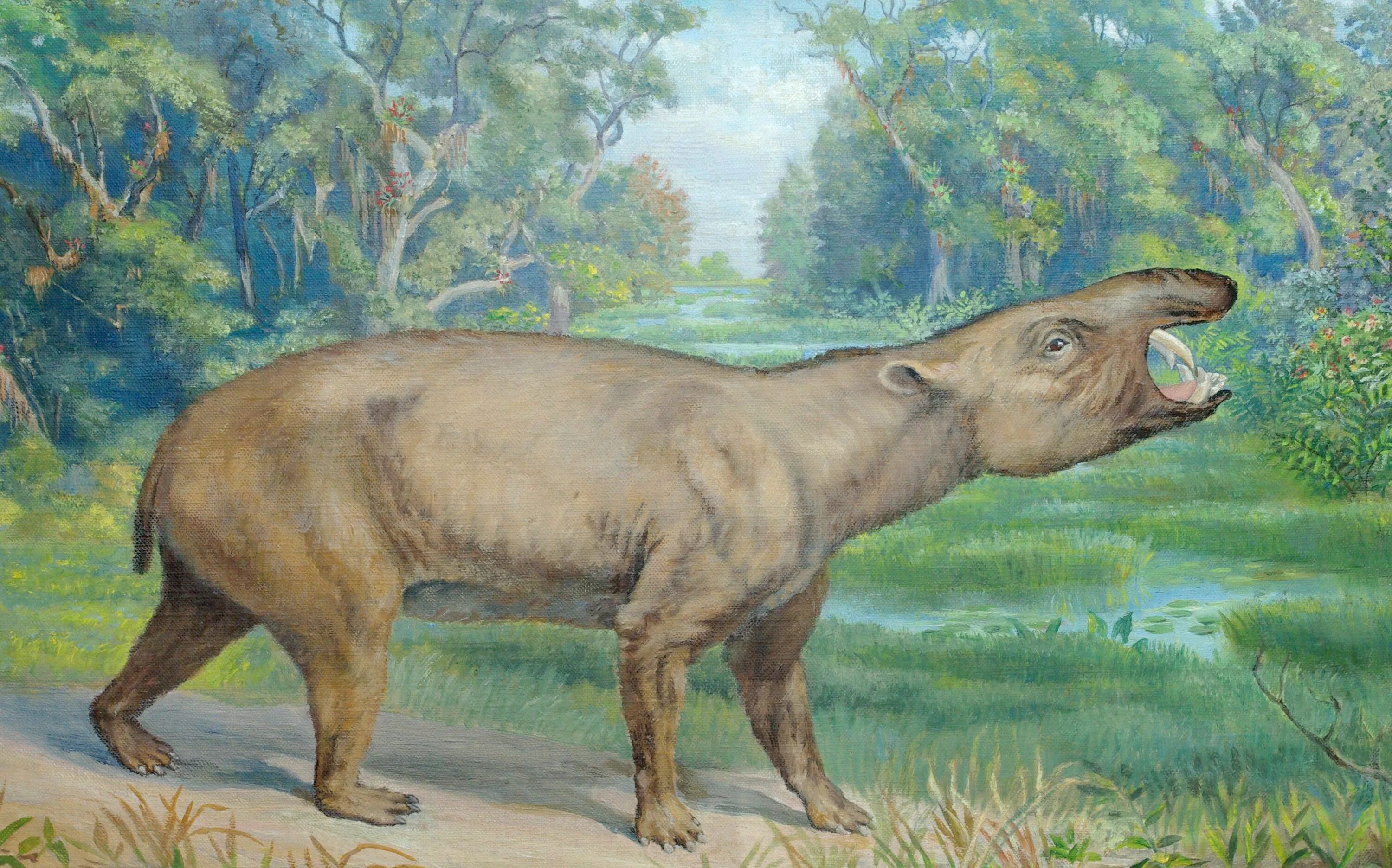 Все вымершие живут. Астрапотерии (Astrapotheria). Astrapotherium Magnum. Эпоха эоцена. Парнокопытные кайнозойской эры.